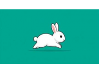 新手必看！長毛兔飼養全攻略，從品種到繁殖一文搞懂！