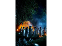 神秘林中迎新春，歡樂派對(duì)共慶生