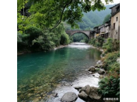 重返江蘇興化安豐鎮(zhèn)，體驗非凡的700公里早茶之旅