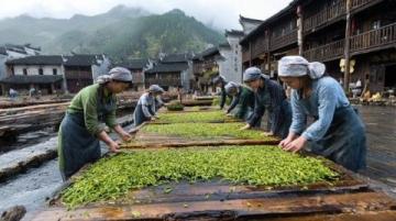 國慶意外出游：與家人共賞石泉古鎮魅力及美食之旅