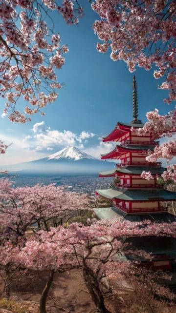 2025年必去的五大春季旅行勝地,跟隨榜單開啟新體驗