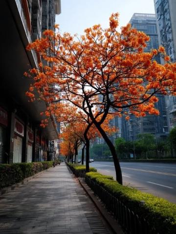 武漢櫻花季:賞花拍照與必嘗美食攻略