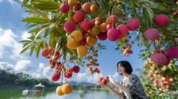 家鄉(xiāng)秋天豐收的果實(shí)可以做出許多誘人的美食,以下是一些常見的搭配