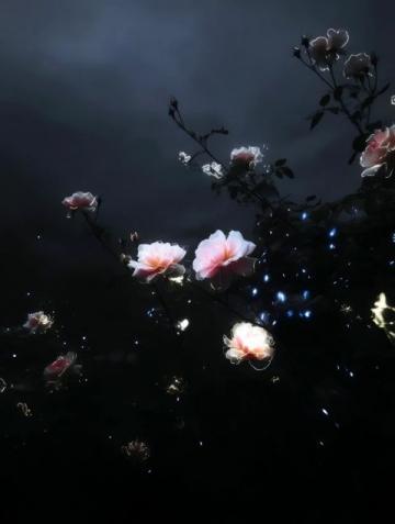 暗香滿天,夜色更深