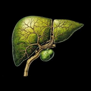 如何讓肝硬化患者過個好年?注意這些飲食要點!