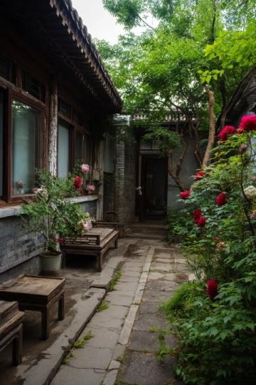 北京東邊免費公園賞花踏青指南,避人潮秘境推薦