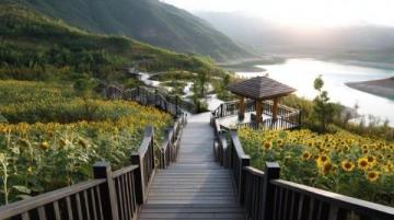 浙江松陽(yáng)：親子慢游的理想之地
