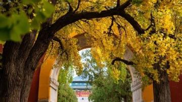 5日4夜，1500玩轉(zhuǎn)保定，附詳細路線行程！