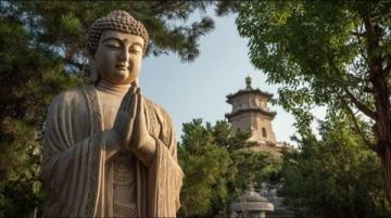 探索日照莒國古城：一份實用旅游指南