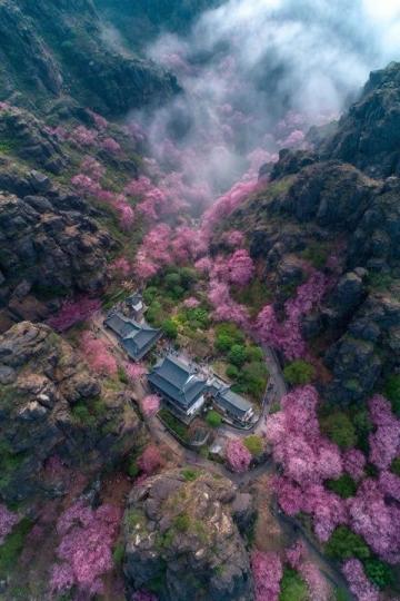 2025年必去的五大春季旅行勝地,跟隨榜單開啟新體驗