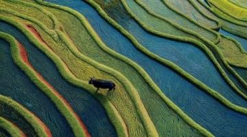 云南十大旅游勝地~第篇:元陽梯田-大地的藝術之旅