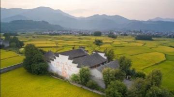 浙江松陽(yáng)：親子慢游的理想之地