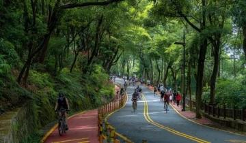 兩日游路線：武大櫻花+東湖綠道，這樣玩不繞路！
