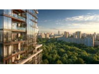 探索城市的最新動態(tài)