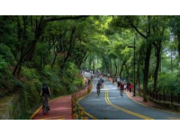 夜幕下的合興路：告別舊居后的溫暖回憶與新發現