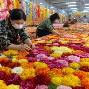 廣西美食特產大盤點：除了螺螄粉還有啤酒魚、荔浦芋等多種口味