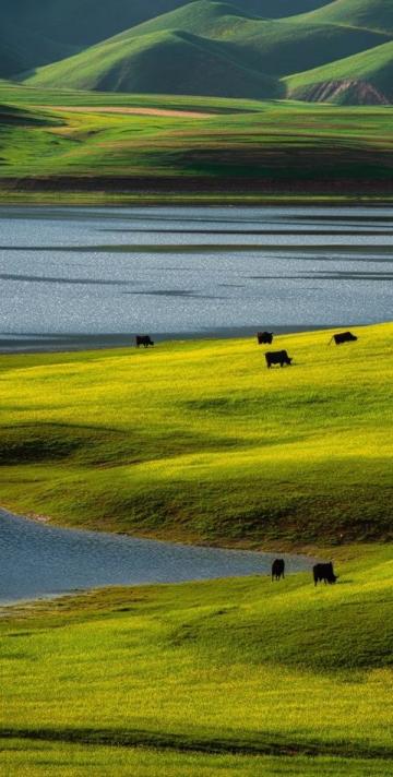 青甘6日游攻略:5/6月人均2000元,涵蓋黑獨(dú)山、敦煌等多美景