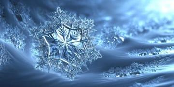 鮮為人知的冷知識：從日常生活到科學奧秘