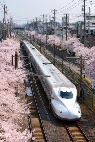 500元環游東日本!JR東日本平日旅行優惠票限時發售