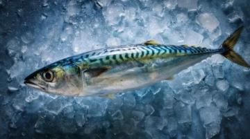 食用須知：這種河鮮魚籽含劇毒，煮熟也無法消除危險