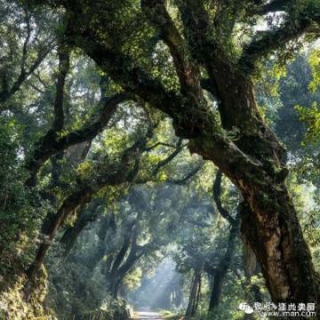 珠海江門臺(tái)山兩日游路線指南：狂飆之旅，探索自然與人文的魅力