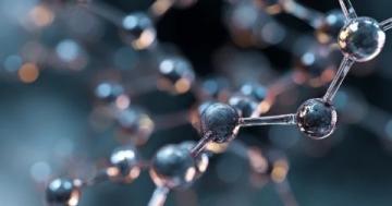 糖分轉化碳鏈,為生命提供能量源泉