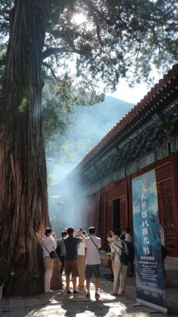 五一假期西昌游玩攻略來襲!