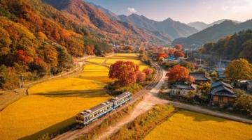 荔波小七孔旅游攻略：門票、交通與必游景點全指南