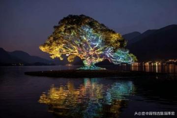 遇見(jiàn)撫仙湖的藍(lán)：澄江旅游攻略