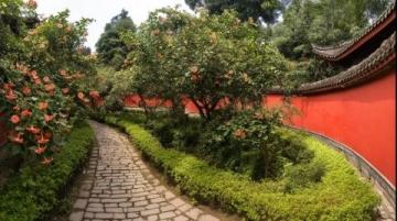 潮汕3天2夜深度游攻略:普寧市超值之旅