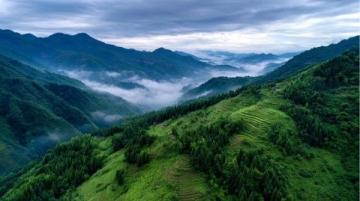 夏日云南之旅:花茶與美景的完美邂逅旅行指南