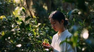 春天野菜怎么吃?教你簡(jiǎn)單又營(yíng)養(yǎng)的薺菜炒雞蛋做法