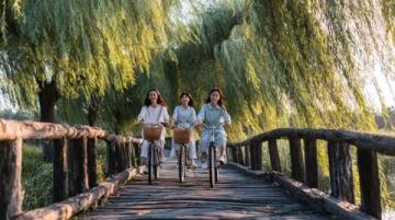 玉溪旅游全攻略:衣食住行玩轉(zhuǎn)滇中明珠撫仙湖畔風(fēng)情游