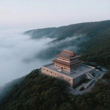 昆明久香樓:探尋云南野生菌的美味傳奇