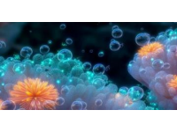 探索廈門(mén)美食秘境：老二市口土筍凍的獨(dú)特魅力