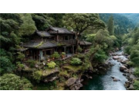 莫干山旅行指南：探索涼爽竹林、民國小鎮與隱秘水潭的夏日避暑之旅