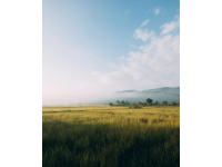 陽春市大草原美景如畫，不容錯過