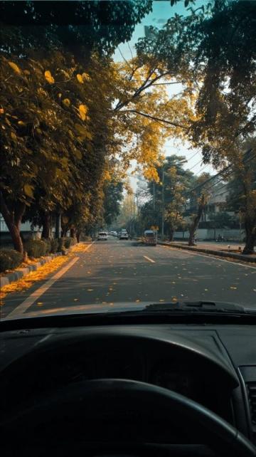 詳解各國道路車道劃分與行駛規則必看！