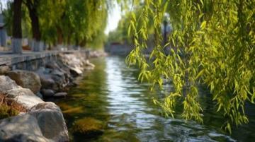 北京周末遛娃好去處推薦:創意樂園與戶外探險之旅
