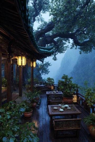 南方地區的特色美食推薦:廣東早茶、福建佛跳墻、廣西螺螄粉……不可錯過的味蕾之旅