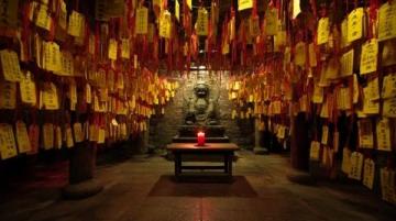 河南駐馬店北泉寺:千年古剎探秘之旅