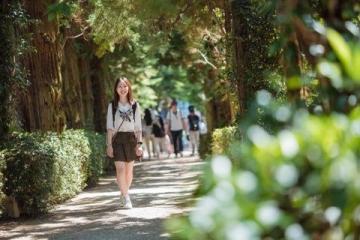 廈門春游攻略：賞花、文化探索與潮流體驗，一網打盡！