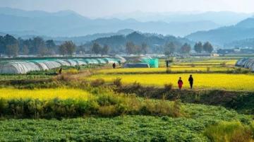 浙江松陽(yáng)：親子慢游的理想之地