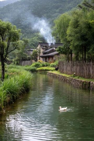 成都近郊露營好去處:金馬河邊的溫江魯家灘濕地公園