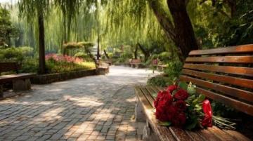 濰坊高密南湖植物園——城市綠洲的詩意棲居**