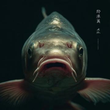 進去!我只收釣費,不提供魚,這件事在沈陽的社交媒體上引發了熱議