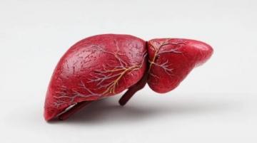 科學應對脂肪肝:揭秘極端素食背后的健康誤區與合理膳食策略