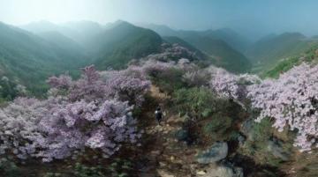 探尋揚州春季登山地:龍山與捺山的風光之旅