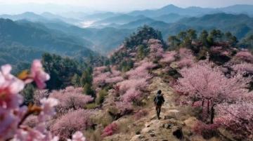 一起來爬爿西樵山！