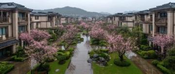 逃離都市喧囂：探尋杭州西溪濕地里的隱世桃源——十里芳菲度假村